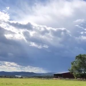 Meet your Posher, Teyla